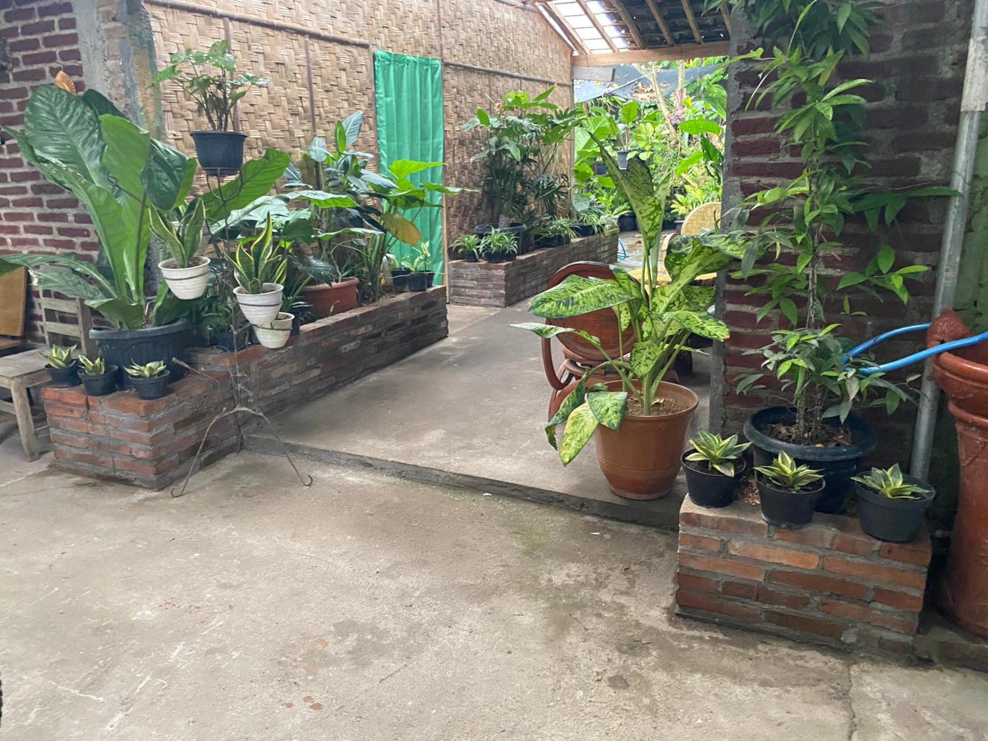 Ada Homestay Магеланг Екстериор снимка