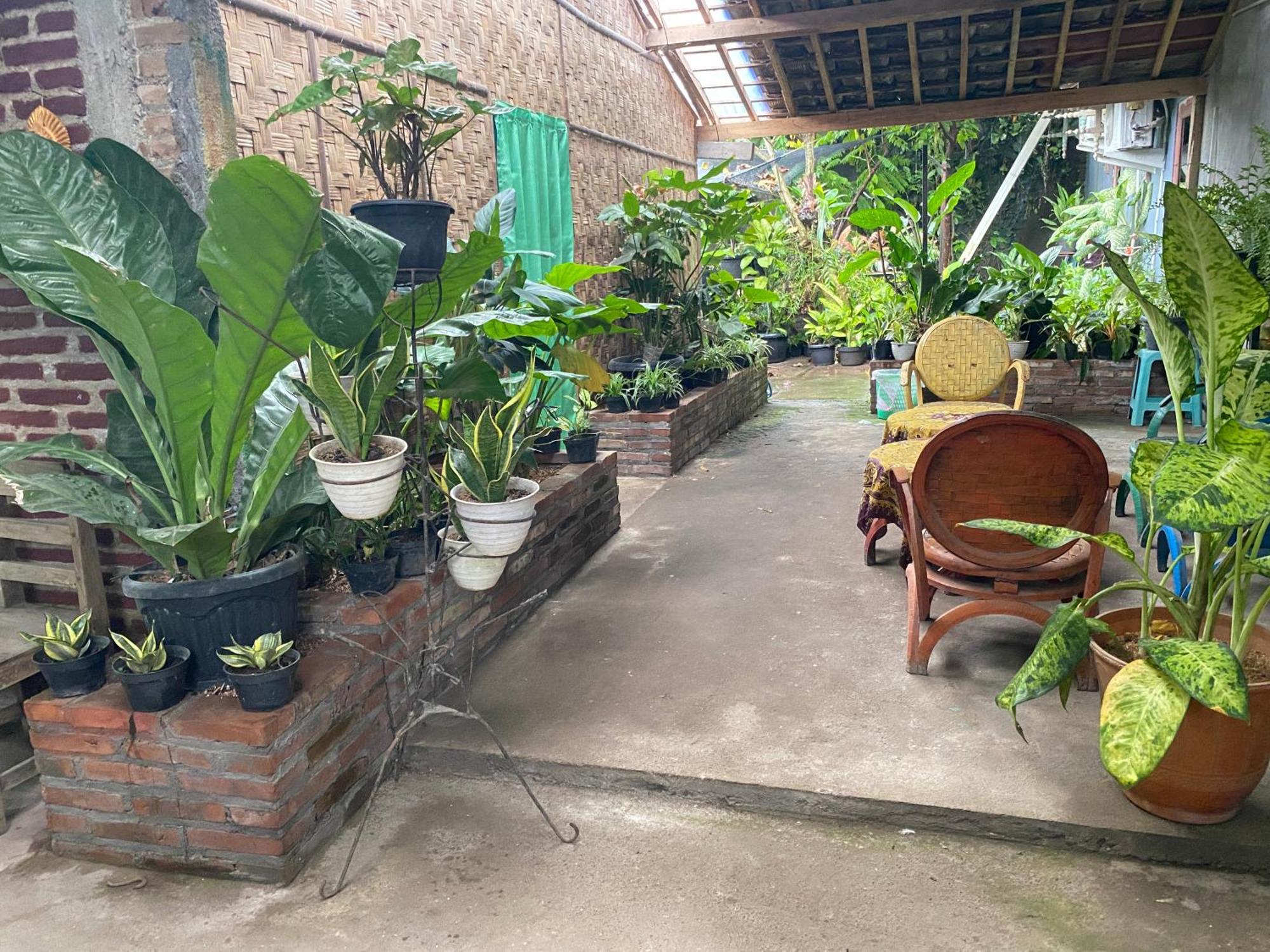 Ada Homestay Магеланг Екстериор снимка